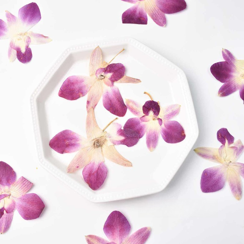 Resin Art Design - 4 stuks, echte geperste vlinderorchideebloemen, doe-het-zelf